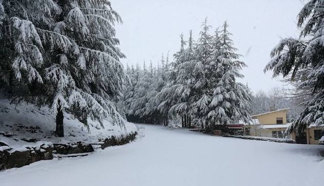 Nevica sul Gennargentu, ecco le immagini scattate questa mattina