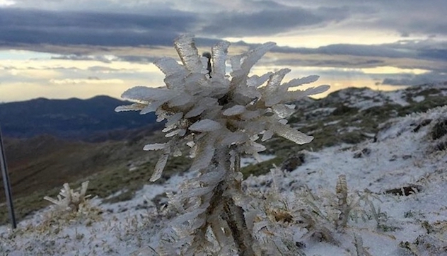 Prima neve in Sardegna, Bruncuspina imbiancato. Ecco il video