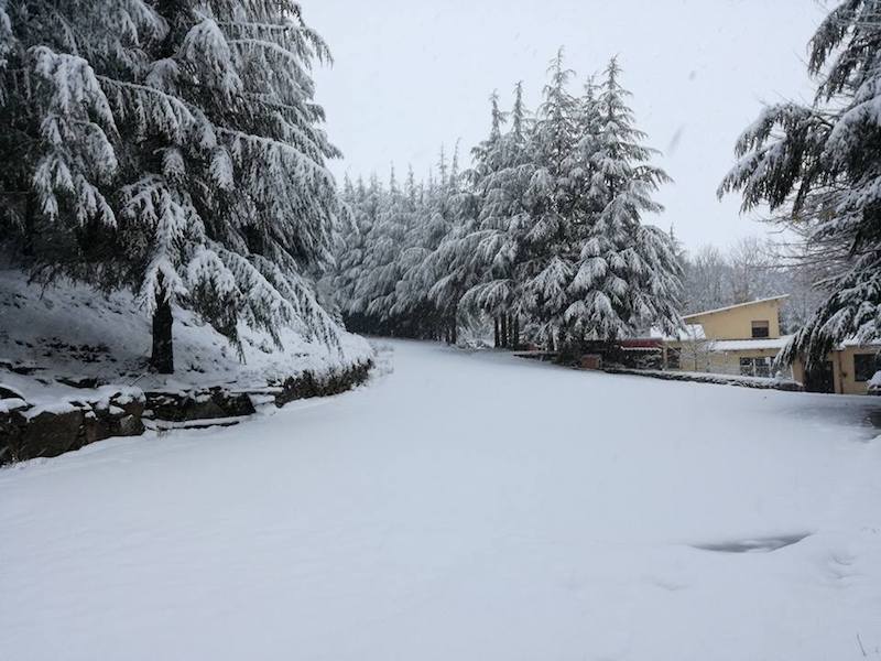 Nevica sul Gennargentu, ecco le immagini scattate questa mattina