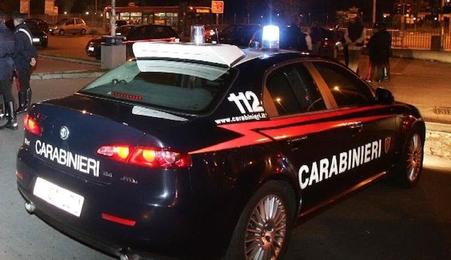 Cane investito da un’auto, salvato dai Carabinieri