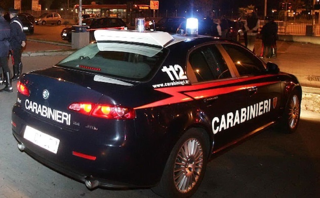 Cane investito da un’auto, salvato dai Carabinieri