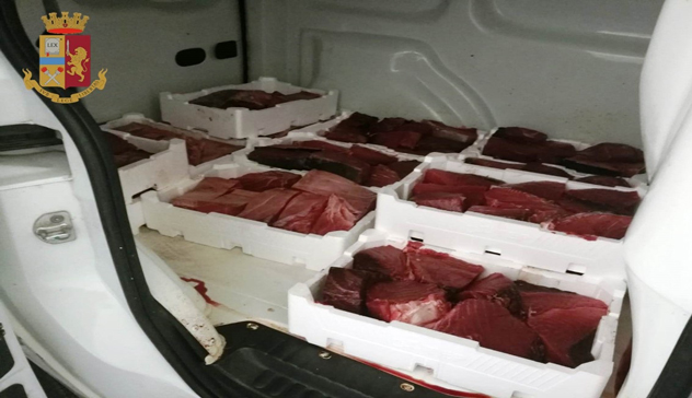  Sequestrati 125 chili di tonno rosso, 55enne denunciato dalla Polstrada