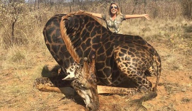 Esemplare di giraffa nera uccisa per una foto ricordo