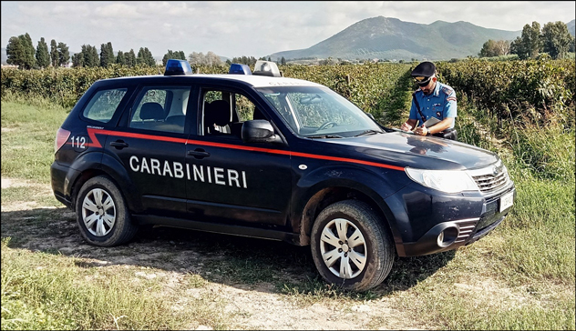 Blitz in un’azienda agricola: i Carabinieri scoprono due braccianti in nero