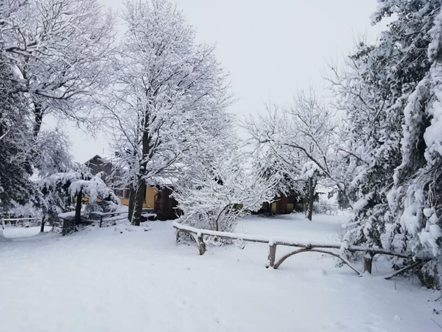 Fiocchi di neve in Barbagia, la magia a Desulo e Ollolai