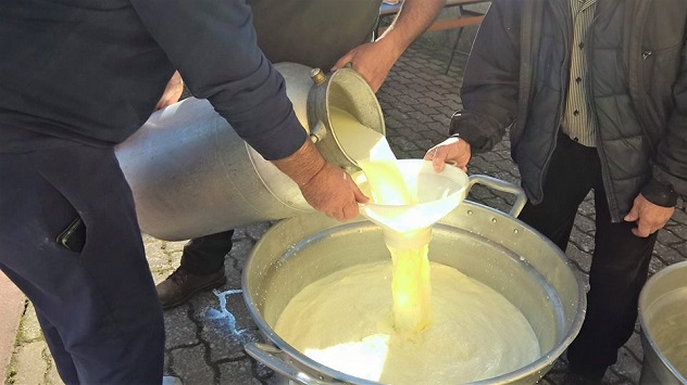 I pastori di Silius donano il latte alla Pro Loco: il formaggio prodotto sarà offerto nel corso degli eventi