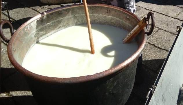 Vertenza prezzo del latte, oggi manifestazione a Solarussa