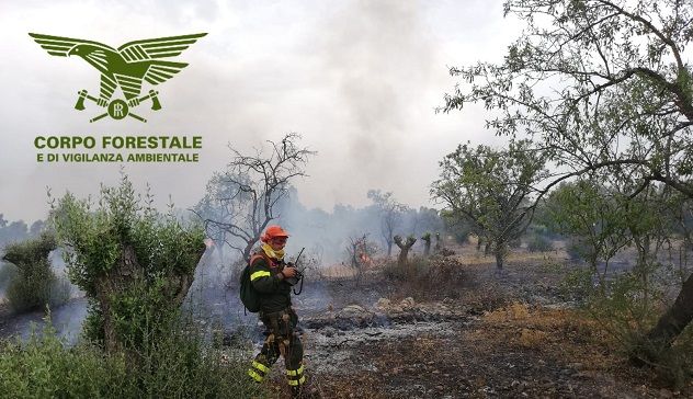 Incendi a Villanova Monteleone, Uta, San Giovanni Suergiu, Carbonia, Villagrande Strisaili, Macomer e Sassari, in azione la Forestale