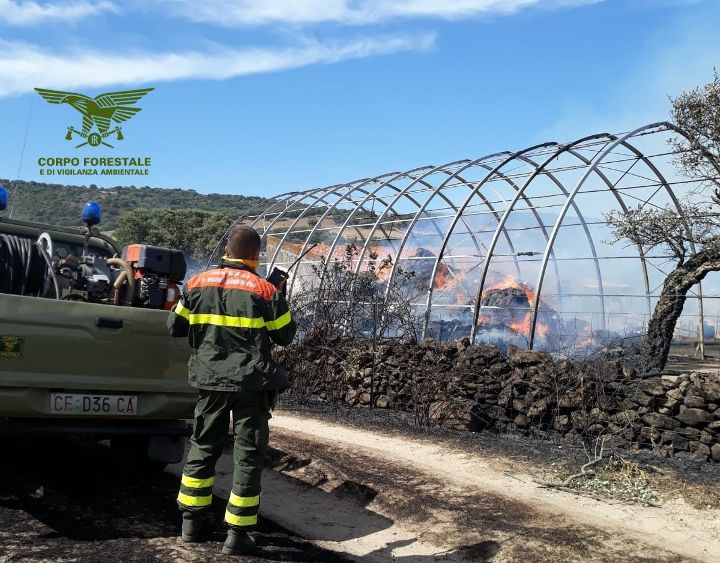 Incendio a Berchidda, distrutti un fienile e un automezzo