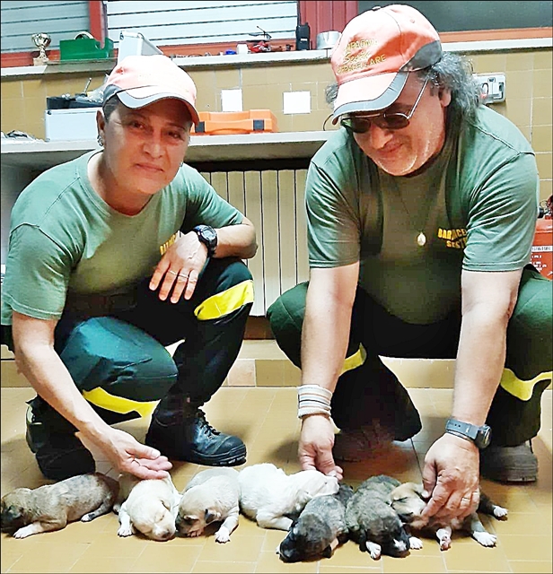 I Barracelli trovano e salvano 7 cuccioletti abbandonati di appena dieci giorni: parte l’sos per adottarli