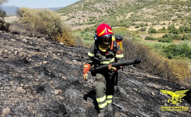Incendi a Burgos e San Nicolò Gerrei, operazioni di spegnimento in corso