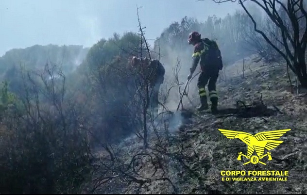 Incendi a Loiri Porto San Paolo e Maracalagonis, sul posto i mezzi aerei della Forestale
