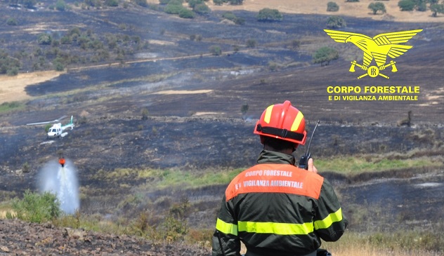 Incendi a Villacidro, Perdasdefogu, Ittiri e Sarule: sul posto i mezzi aerei della Forestale