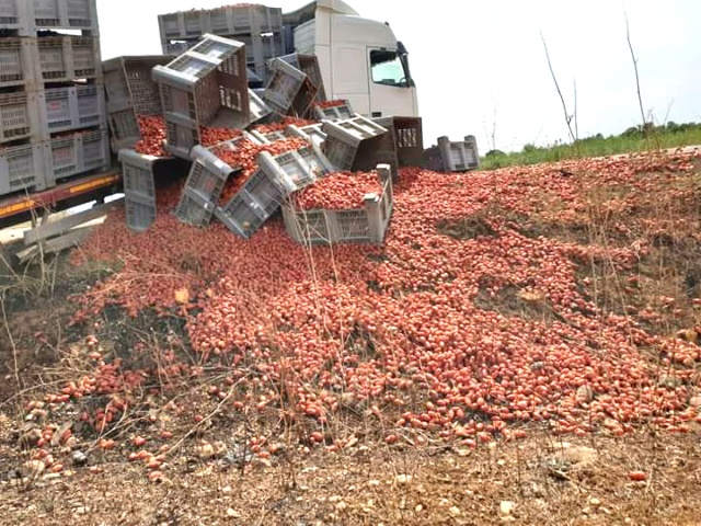 Camion si rovescia sulla provinciale per Serrenti, perso tutto il carico di pomodori 