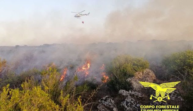 Incendio a Suni, in azione due elicotteri della Forestale