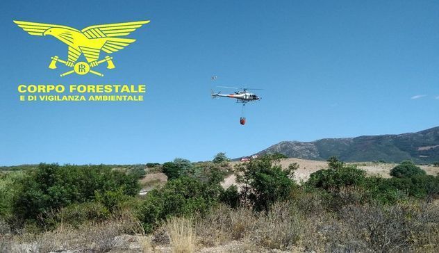 Incendio a Bolotana, in azione un elicottero della Forestale