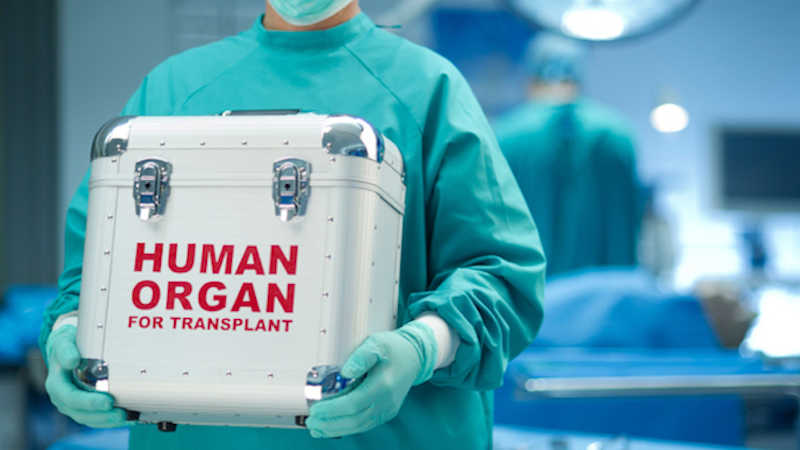 Allarme donazioni in Sardegna, annus horribilis per i trapianti di organi 