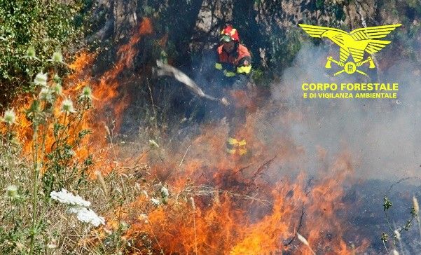 Incendio nelle campagne di Pattada, sul posto la Forestale
