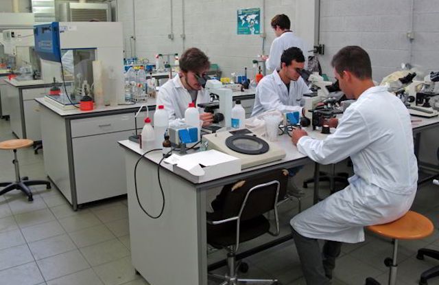 Appello dell’Università di Cagliari: “Non fermare la sperimentazione animale nella ricerca scientifica”