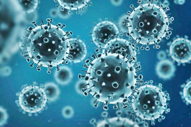 Coronavirus, Difesa: “A disposizione 6.600 posti letto per quarantena e anche relativo personale”