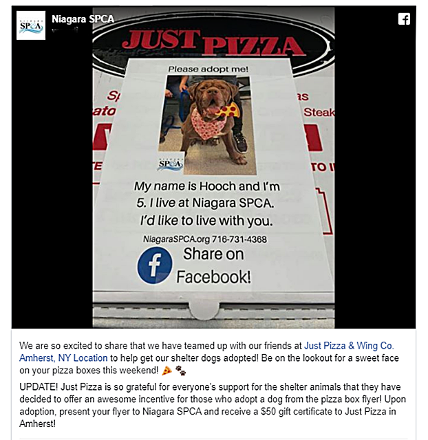 Sui cartoni della pizza ora ci sono le foto dei cani da adottare