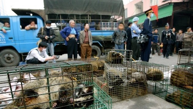 Coronavirus. In Cina riaprono i mercati di animali vivi, dove è partito il Covid