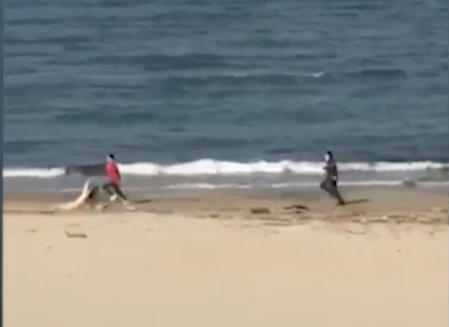 Carabiniere insegue un runner sulla spiaggia: il video diventa virale