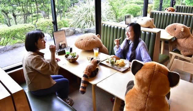 Distanziamento sociale: nei ristoranti seduti a tavola con enormi pupazzi 