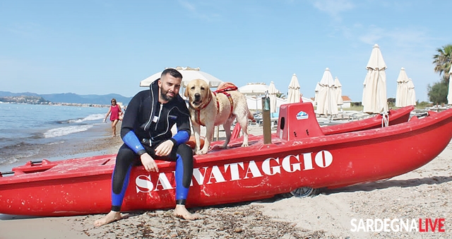 Bagnini a quattro zampe, ecco Gianluca: il bellissimo Labrador Retriever salverà le persone in mare. VIDEO