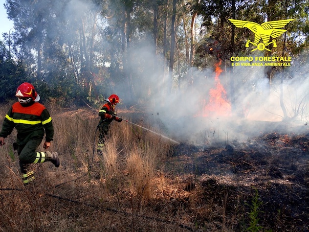 Brucia la Sardegna: 30 gli incendi registrati oggi