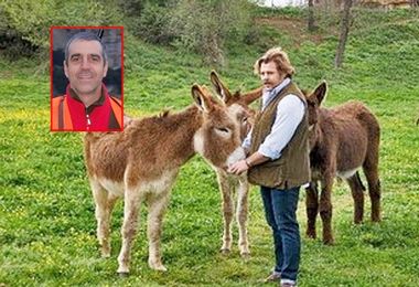 Il cuore d’oro dei Cacciatori sardi: due asini all’ex nazionale di rugby Andrea Lo Cicero per la pet therapy dei bimbi disabili