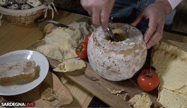 Su casu marzu: uno dei formaggi tra i più buoni del mondo