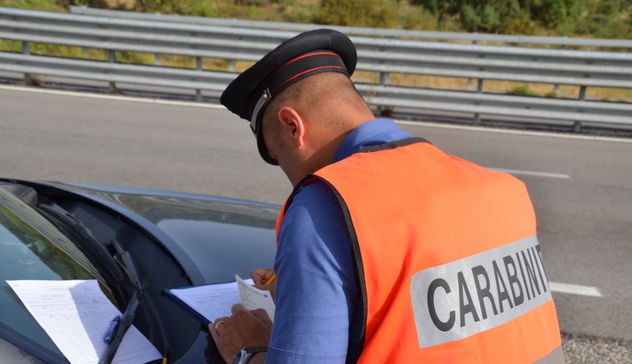 Pericolo animali vaganti nelle strade in Ogliastra: i Carabinieri sanzionano 4 persone
