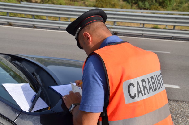 Pericolo animali vaganti nelle strade in Ogliastra: i Carabinieri sanzionano 4 persone