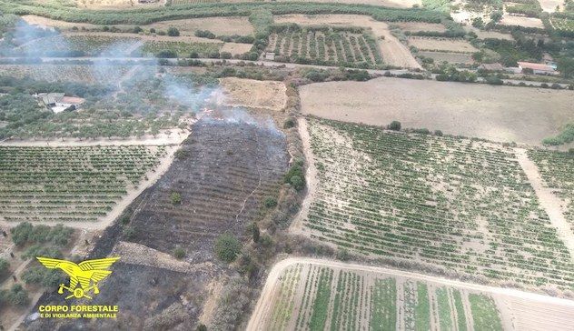 Oggi 34 incendi in Sardegna, in azione elicotteri e Canadair