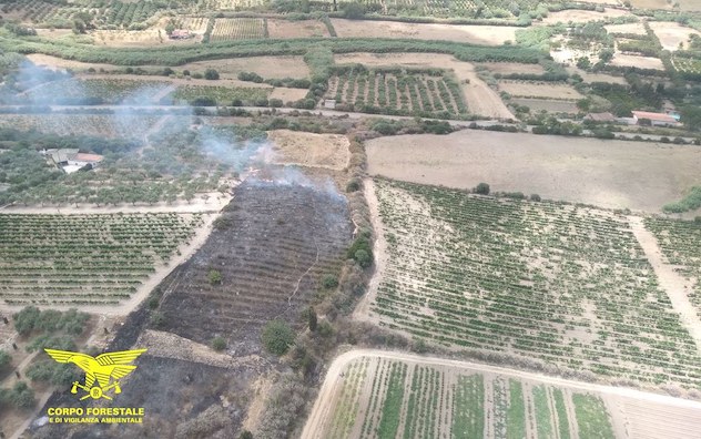 Oggi 34 incendi in Sardegna, in azione elicotteri e Canadair