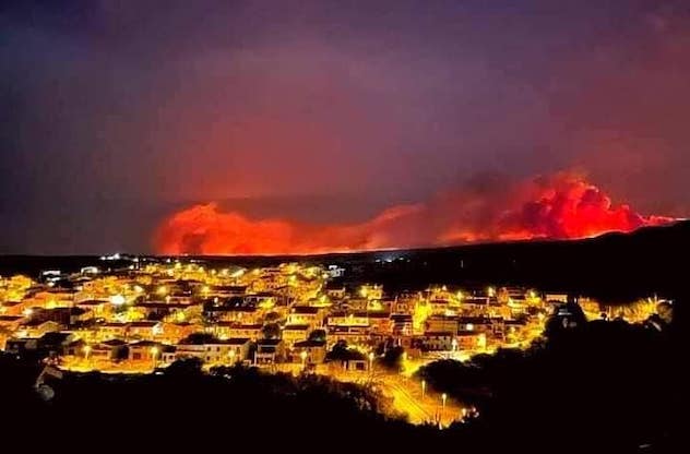Incendi nell’Oristanese, Coldiretti: “Solidarietà per recuperare foraggi e cereali da destinare agli allevatori”