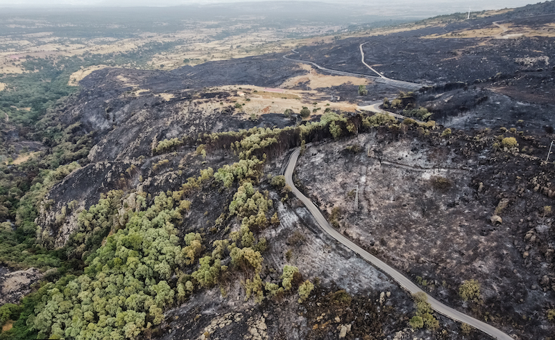 Le immagini del disastro ambientale causato dagli incendi visto dal drone
