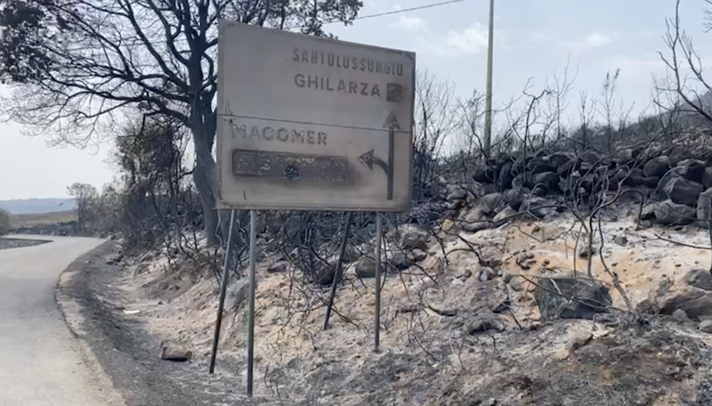 Incendi: al via le indagini del Corpo forestale per individuare le cause del disastro