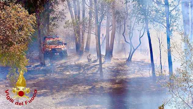 Incendio alla periferia di Olbia: evacuate alcune case