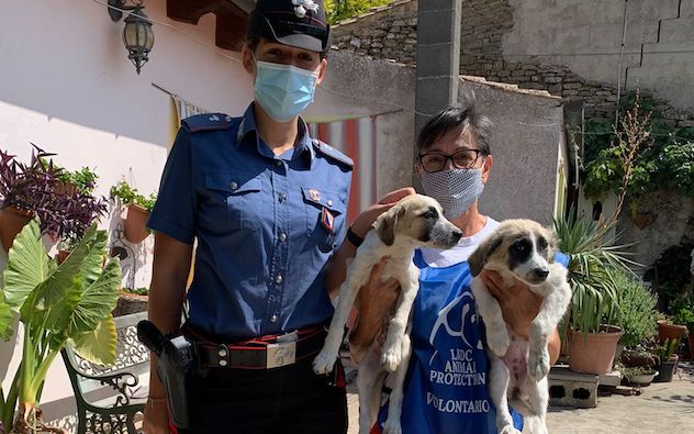 Lieto fine per i due cuccioli di cane salvati a Mandas 