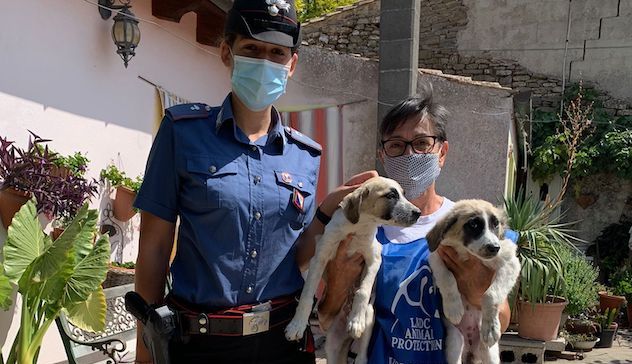 Lieto fine per i due cuccioli di cane salvati a Mandas 