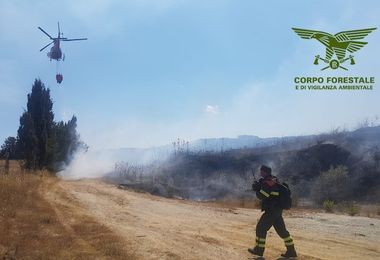 Incendio nell’agro di Ales, sul posto due elicotteri