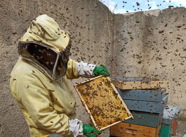 Non solo miele: dalle bomboniere ai laboratori didattici, gli allevatori di api Alessandro e Ilaria ci parlano del loro lavoro
