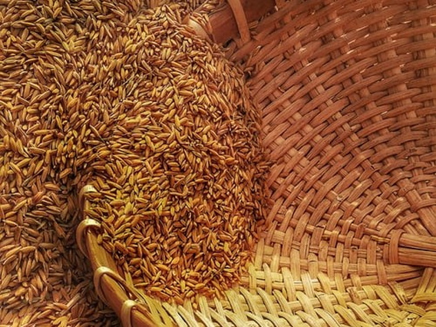 Crisi Ucraina, Coldiretti: “volano i prezzi di grano e mais” 