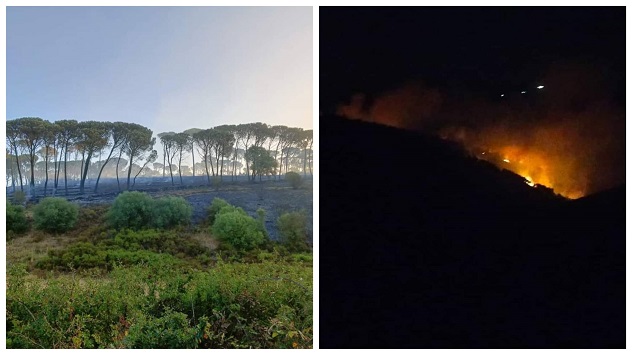 L'Isola brucia anche di notte: ancora fiamme a Mandas, a Burcei raggiunti ovili