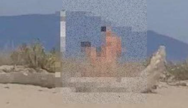 Sesso in pieno giorno nella spiaggia per nudisti: le immagini hot riprese dai bagnanti