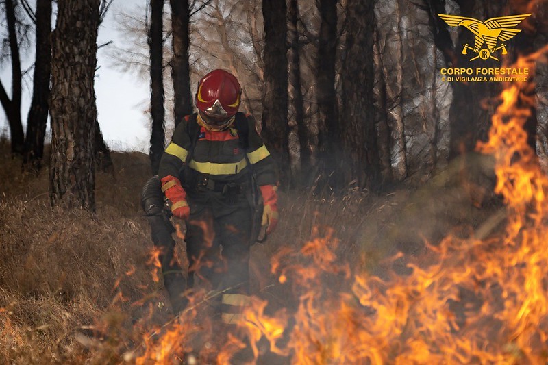 Incendi nell’Oristanese. A Sagama le fiamme lambiscono le case
