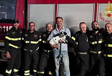 Cane finisce all'interno di una tubatura di scolo, salvato dai Vigili del fuoco
