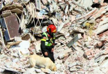 Terremoto a L’Aquila, sentenza shock: “Le vittime colpevoli perché restarono a dormire nell'edificio crollato”